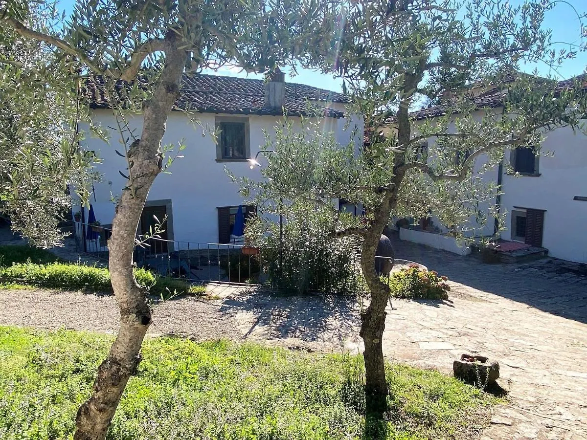 Apartment Villa Grassina-1 By Interhome Pelago 0*,  Italy