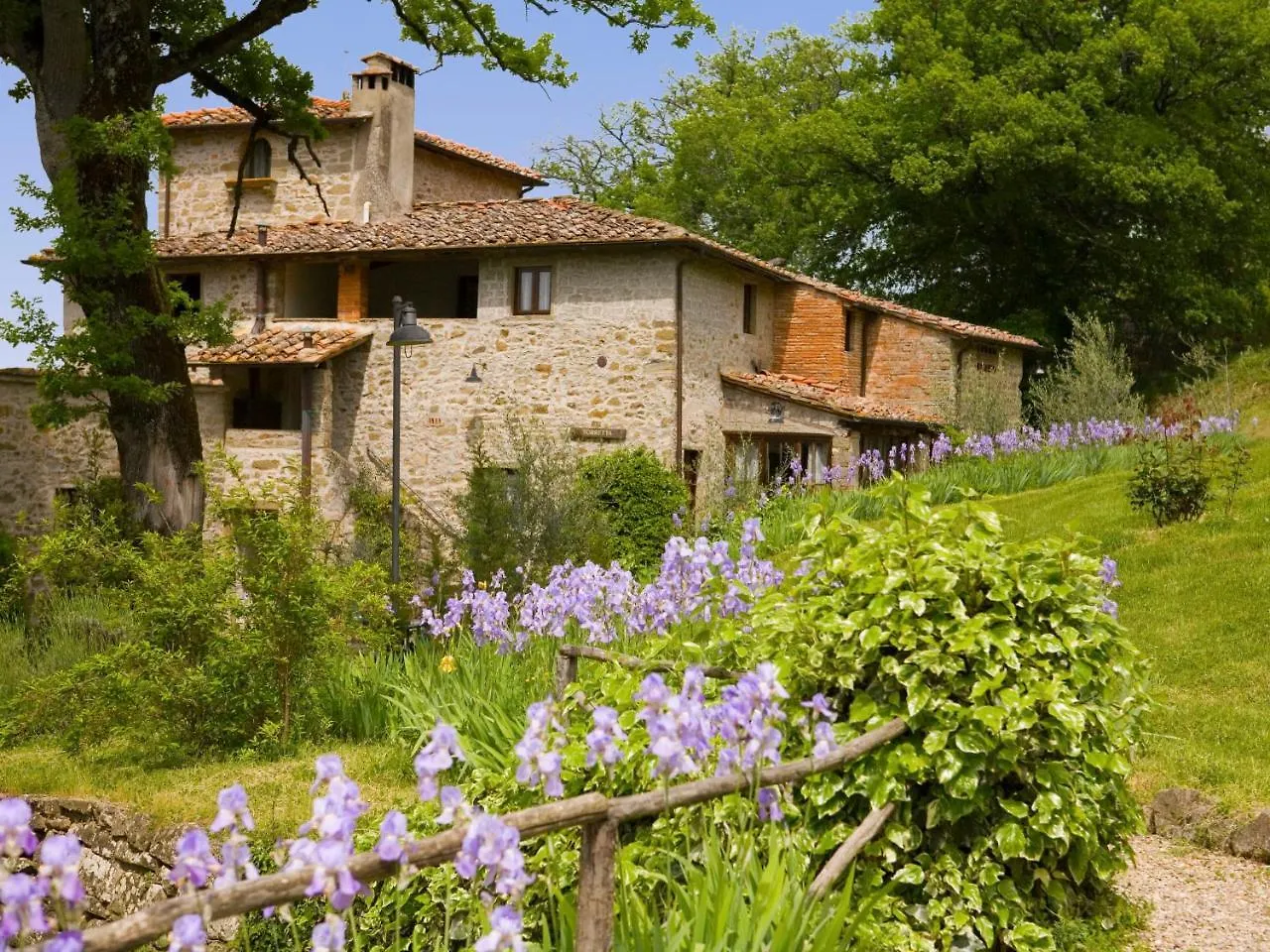 Apartment Villa Grassina-1 By Interhome Pelago